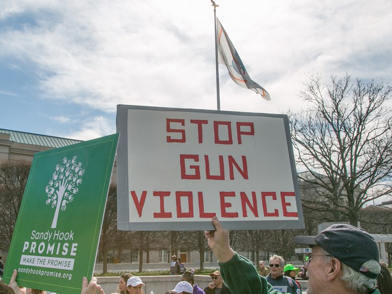 Stop Gun Violence Protest Sign