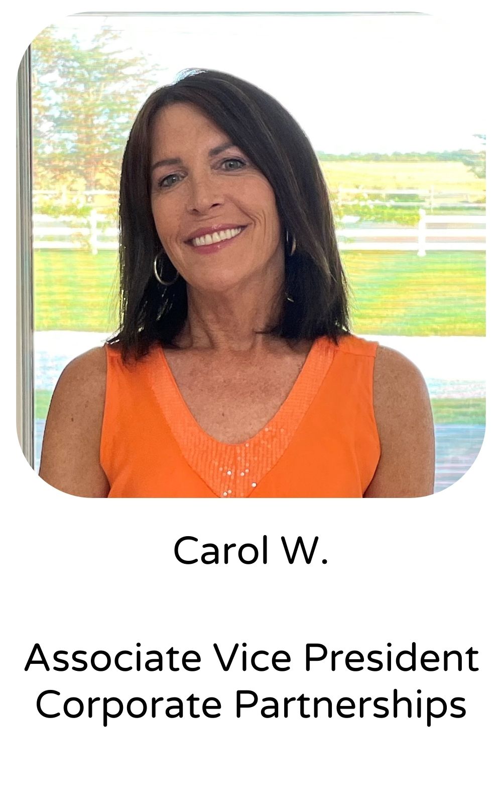 Carol W., Associate VP, Corporate Partnerships