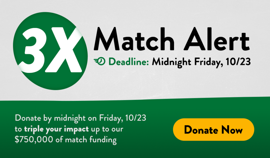3x Match Alert